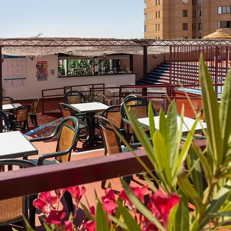 Palmeras Affiliated By Fergus