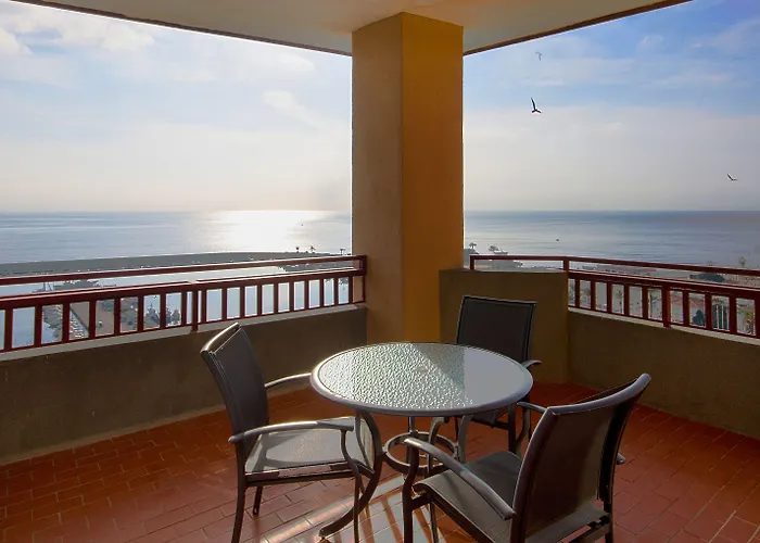 Palmeras Affiliated By Fergus